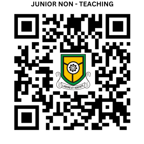 JUNIOR_NON_TEACHING