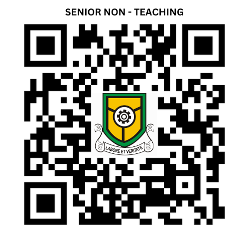SENIOR_NON_TEACHING